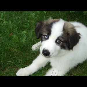 Meet your Posher, Ellen